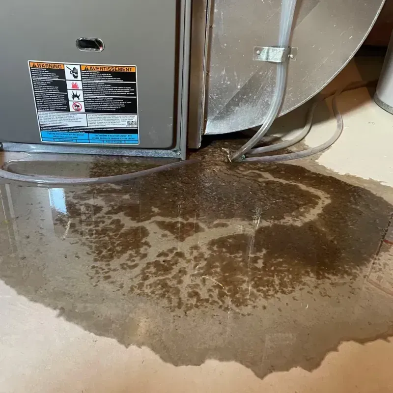 Appliance Leak Cleanup in Willcox, AZ